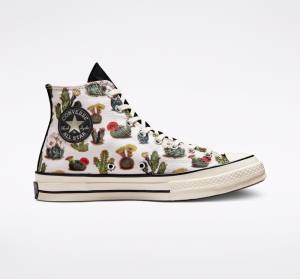 Converse Chuck 70 Succulents High Tops Shoes Black | CV-491KHT