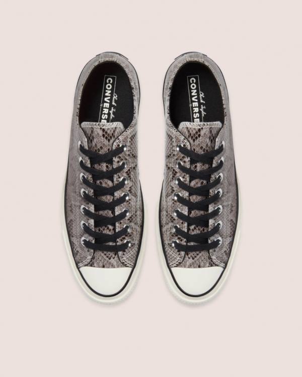 Converse Chuck 70 Reptile Suede Low Tops Shoes Grey | CV-790LPZ