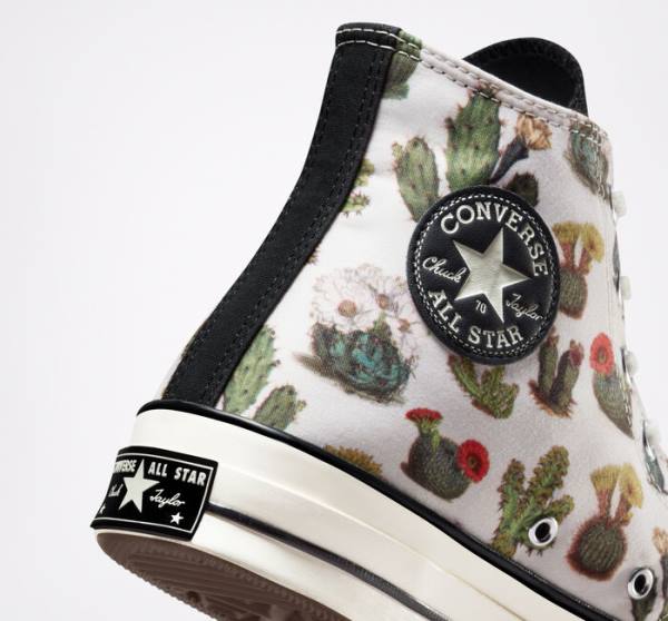 Converse Chuck 70 Succulents High Tops Shoes Black | CV-123ASG