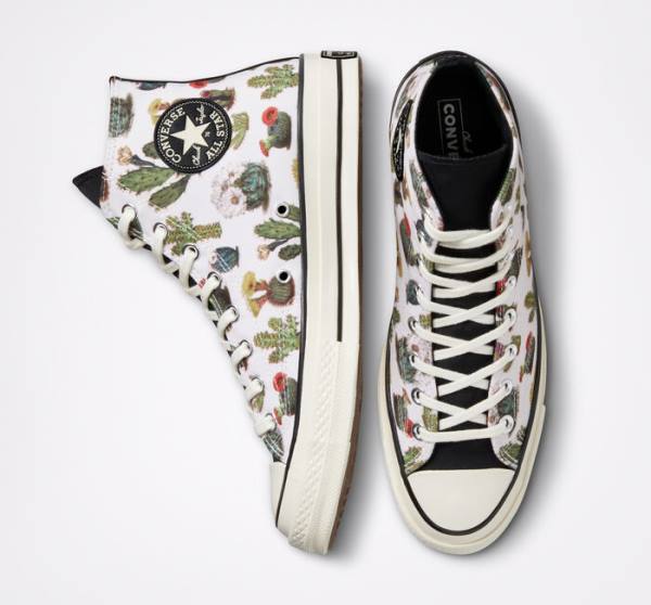 Converse Chuck 70 Succulents High Tops Shoes Black | CV-123ASG