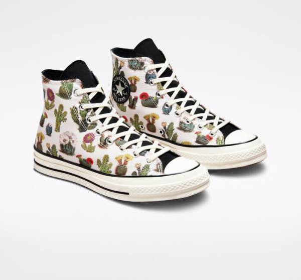 Converse Chuck 70 Succulents High Tops Shoes Black | CV-123ASG