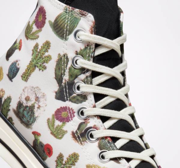 Converse Chuck 70 Succulents High Tops Shoes Black | CV-576TLC