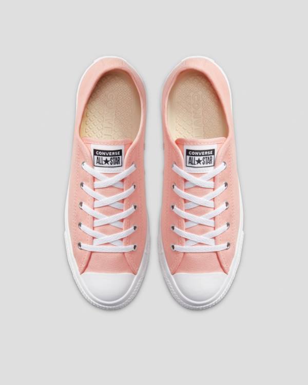 Converse Chuck Taylor All Star Dainty Seasonal Colour Low Tops Shoes Pink | CV-719VMH