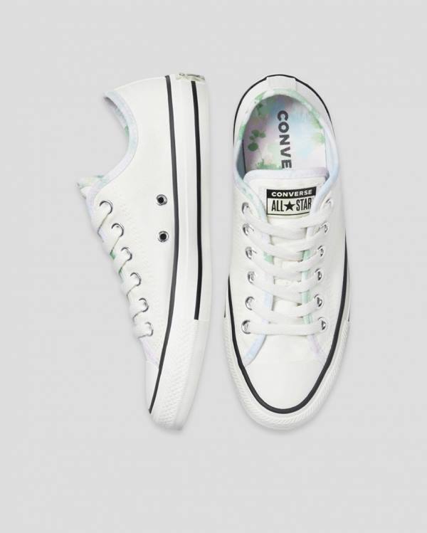 Converse Chuck Taylor All Star Festival Low Tops Shoes Beige | CV-891ORQ