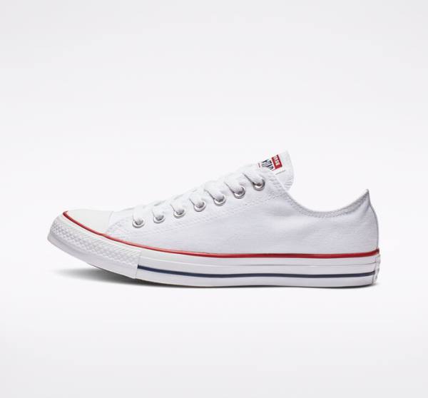 Converse Chuck Taylor All Star Optical White Low Tops Shoes White | CV-194IXE