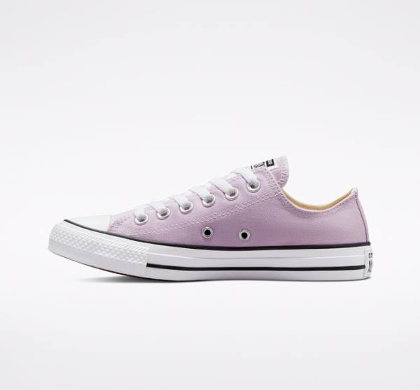 Converse Chuck Taylor All Star Seasonal Color Low Tops Shoes Lavender | CV-165OAT