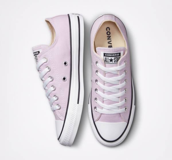 Converse Chuck Taylor All Star Seasonal Color Low Tops Shoes Lavender | CV-165OAT