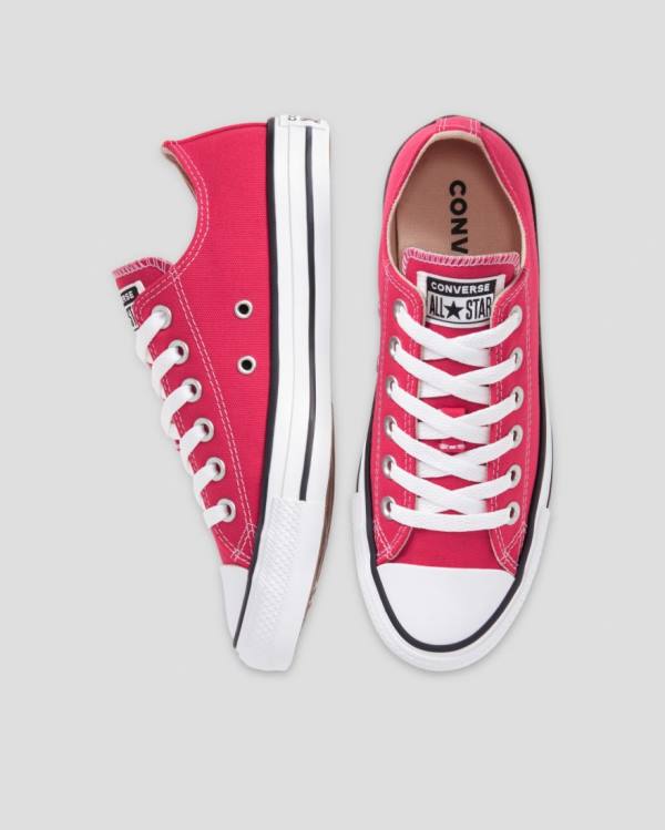 Converse Chuck Taylor All Star Seasonal Colour Low Tops Shoes Pink | CV-328FUQ