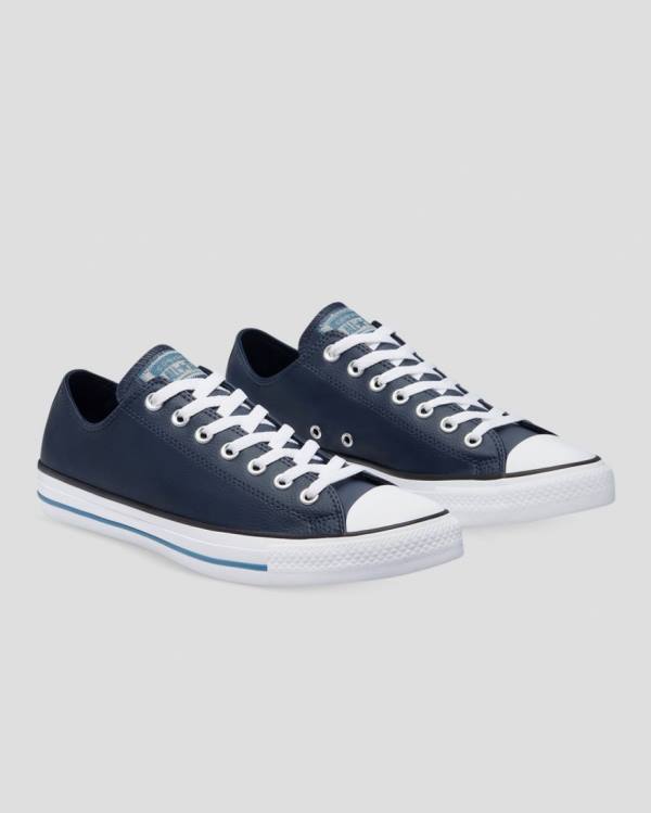 Converse Chuck Taylor All Star Summer Daze SL Low Tops Shoes Blue | CV-978BMG