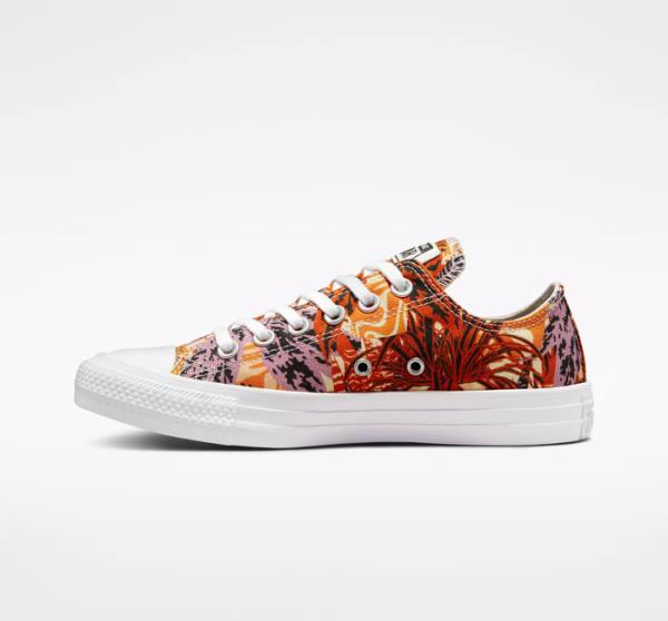 Converse Chuck Taylor All Star Tropical Florals Low Tops Shoes Orange / Black / White | CV-527KPD