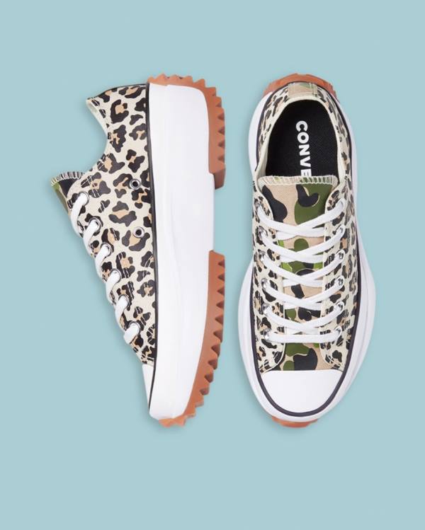 Converse Run Star Hike Wild Archive Low Tops Shoes Leopard | CV-658DXP